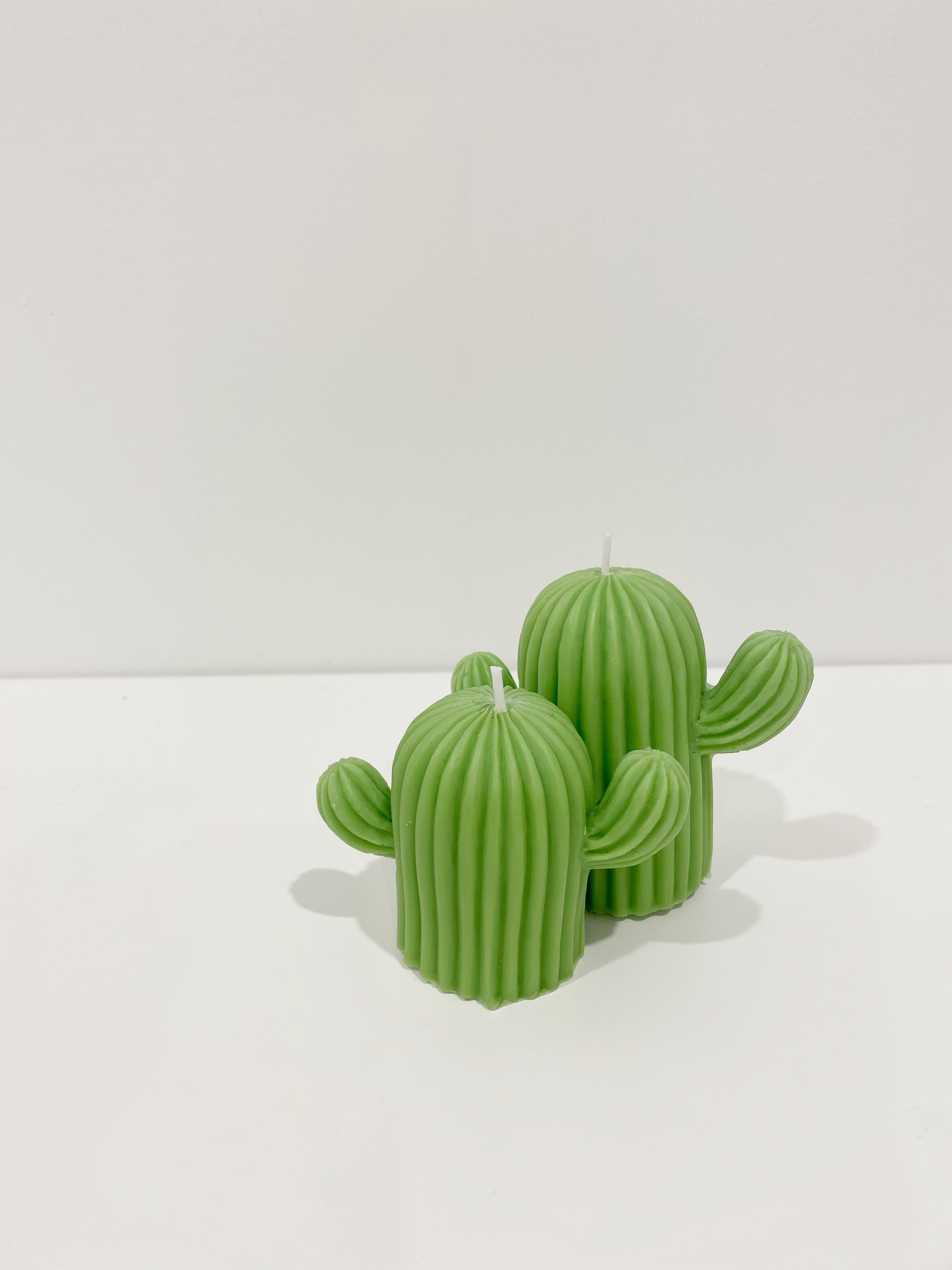 Cactus Candle