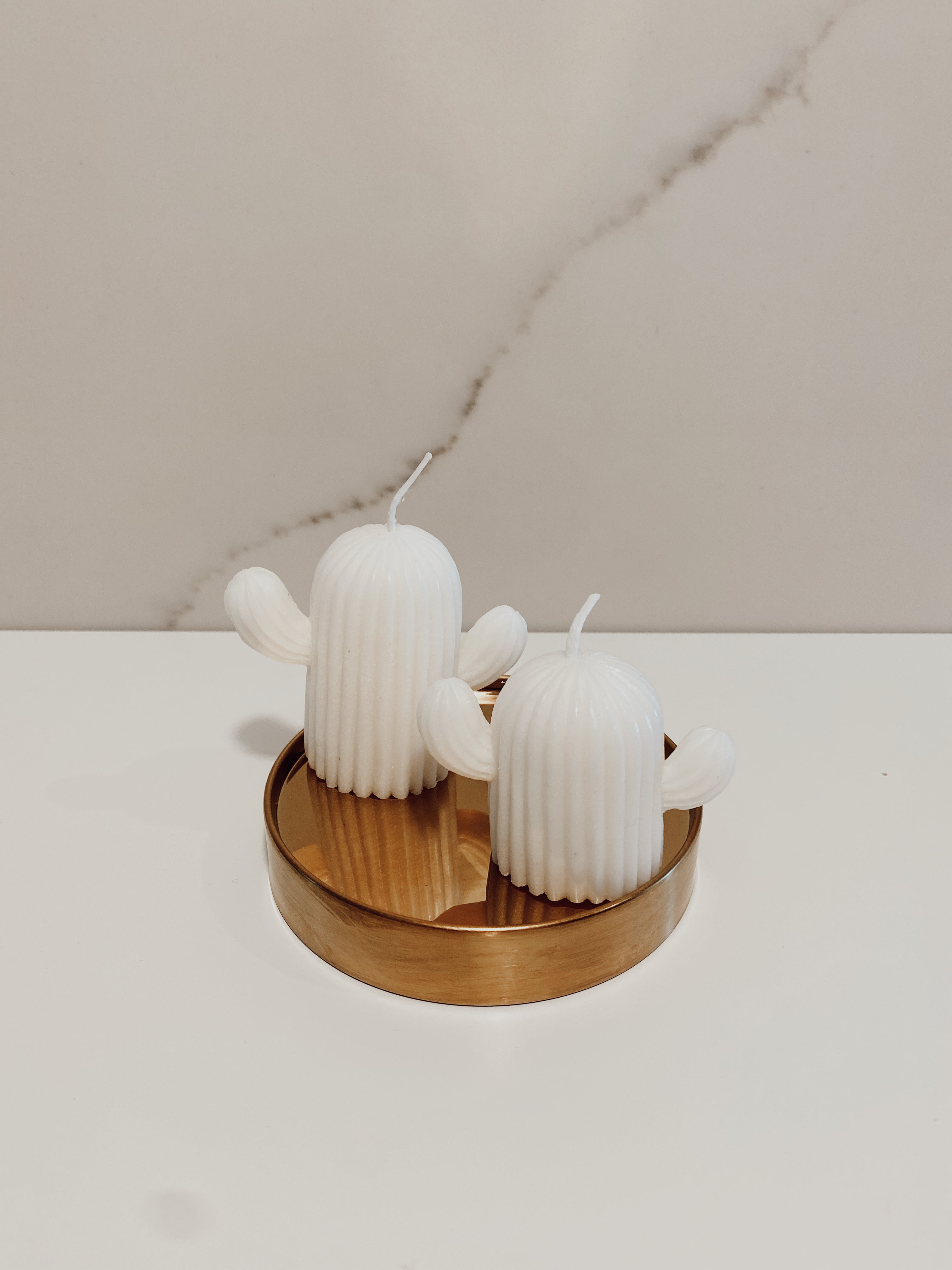 Cactus Candle
